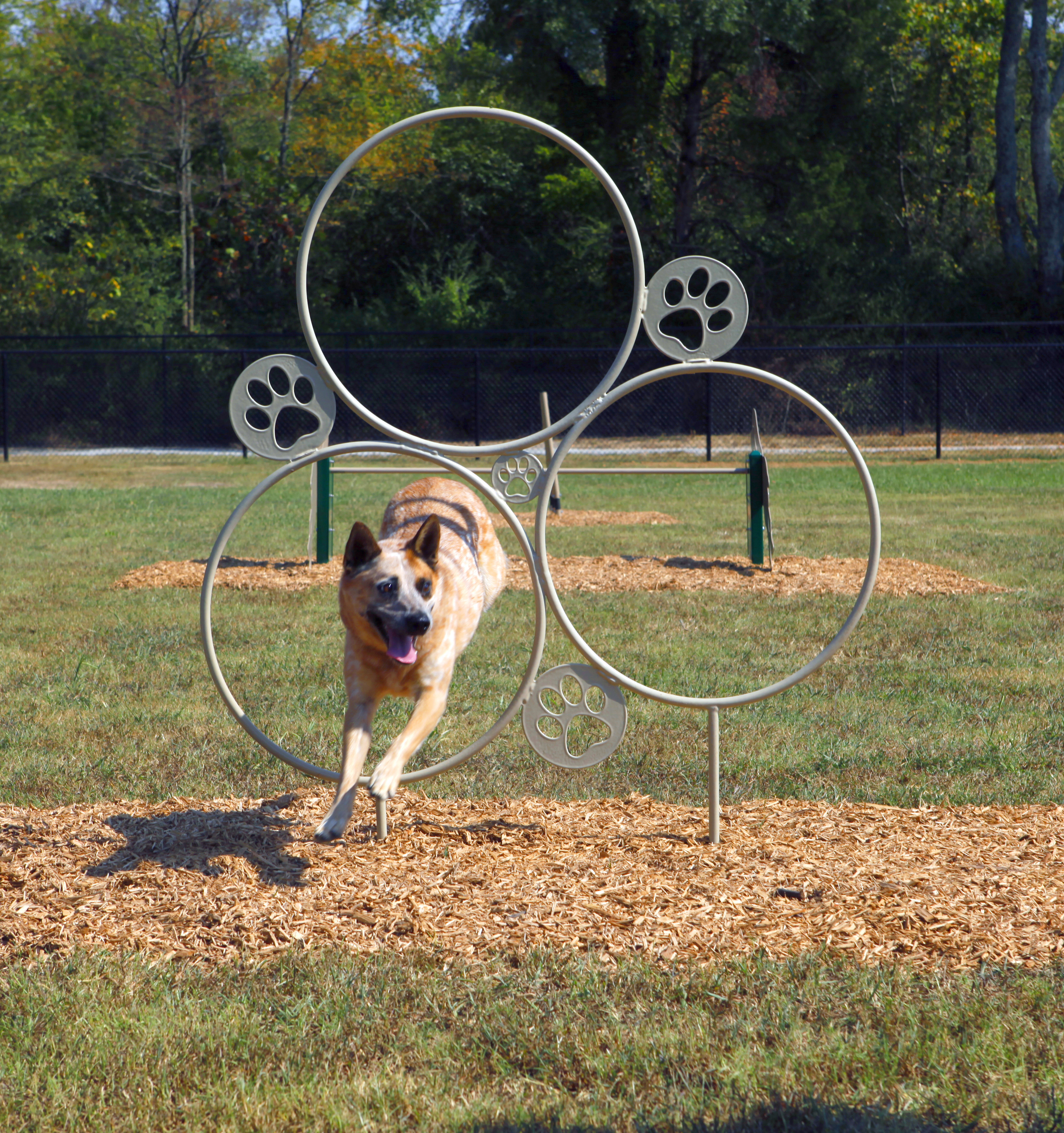 Dog Park Playground Equipment Bliss Products and
