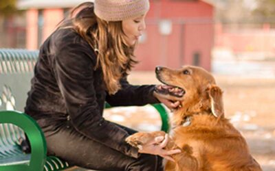 Benefits of a Dog Park