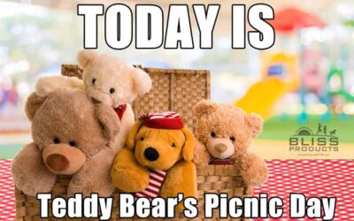 Today Is Teddy Bear’s Picnic Day…Have You Visited the Playground Lately?
