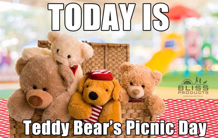 Teddy Bears in a picnic basket under the heading of "Teddy Bear's Picnic Day"