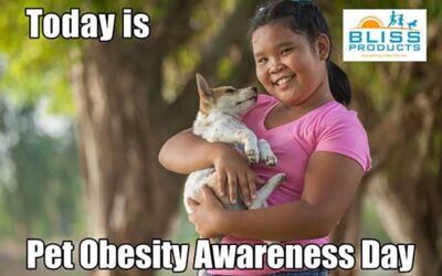 Pet Obesity Awareness Day