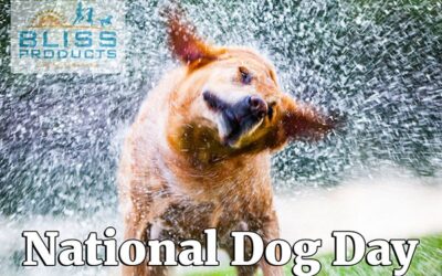 National Dog Day