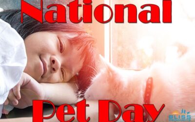 National Pet Day