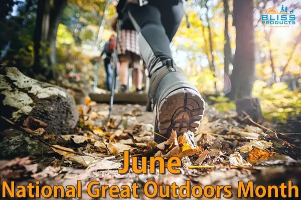 walking through the forest