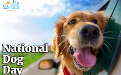 National Dog Day