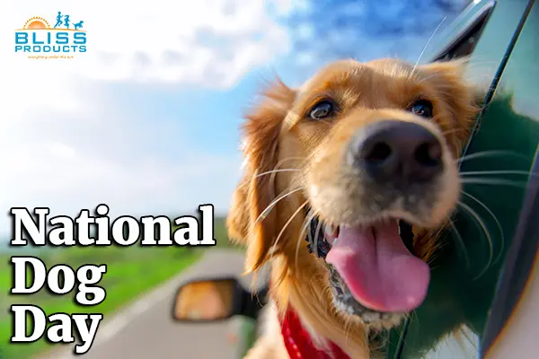 Smiling dog hanging head out of car window