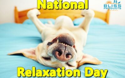 National Relaxation Day