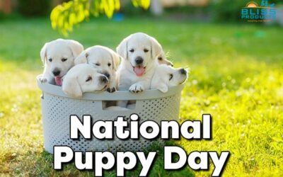 National Puppy Day