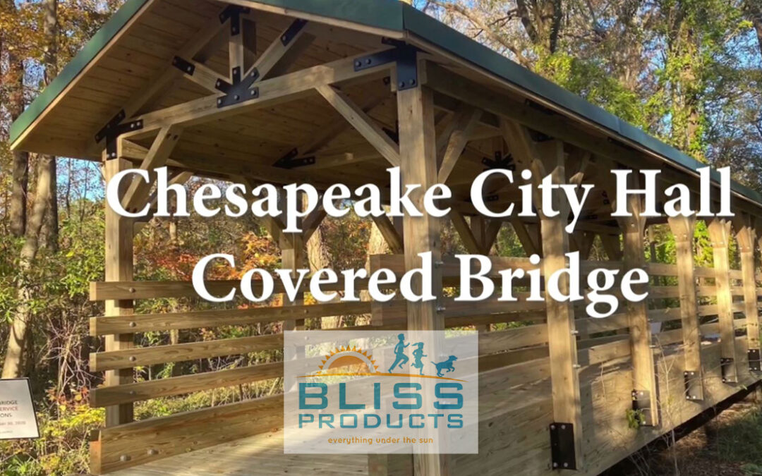 Old Bridge at Chesapeake City Hall