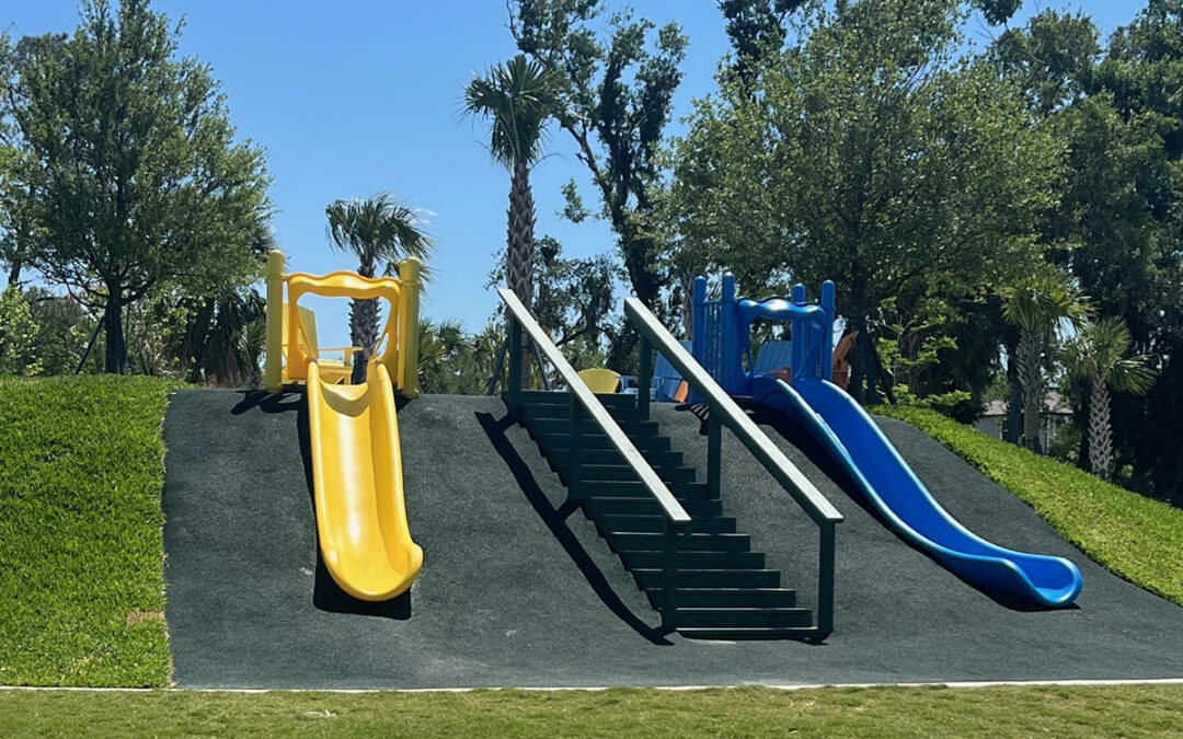 Hill Slides – Wildleaf for Neal Land
