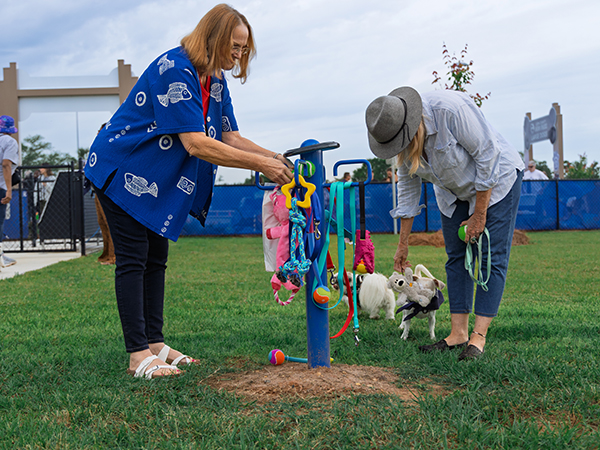 Leash Stand – Apalachee Regional Park Dog Park | Bliss Products and Services Dog leash stand at Apalachee Regional Park Dog Park in Leon County, Florida — installed by Bliss Products and Services.