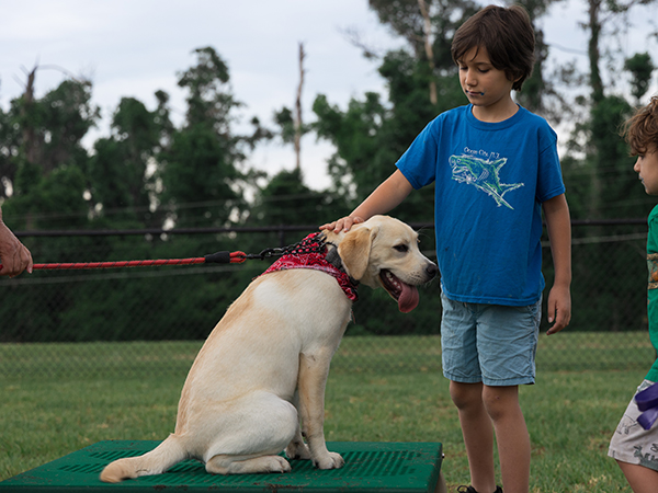 Petting Table – Dog Park Feature | Bliss Products and Services Petting table at Apalachee Regional Park Dog Park in Leon County, provided by Bliss Products and Services.