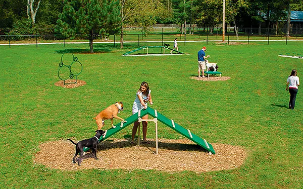 barkpark-dog-park-agility-course-overview Aerial view of a dog park with multiple BarkPark agility stations and handlers