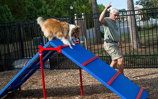 Dog park A Frame - Agility course equipment in Allendale County, SC