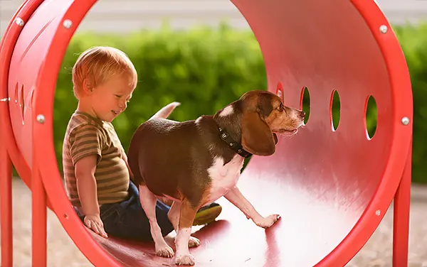 Child and dog sitting in a red Doggie Crawl tunnel at an Alabama dog park in Blue Old Stand in Bullock County.
