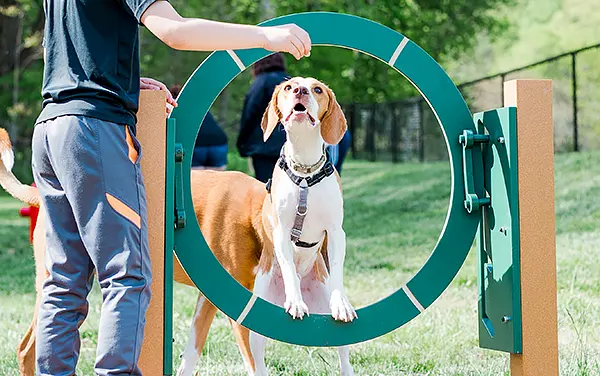 Woman seated on an UltraSite bench with wood-look slats in a fall park setting, from Bliss Products & Services.