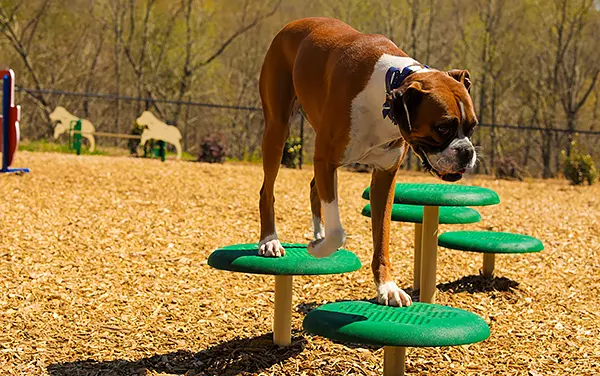 Aerial night view of Hillsboro, Virginia in Loudoun County – supported by Bliss Products and Services with inclusive playground and outdoor recreation solutions.