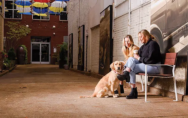 Steel bench with back on a downtown streetscape seating area in Green Pond, Bibb County, Alabama
