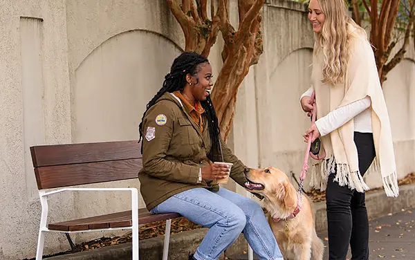 Two people with a leashed dog beside a New Haven wood-plank bench with thermally modified ash slats and a white steel frame on Ono Island, Alabama, available from Bliss Products and Services.