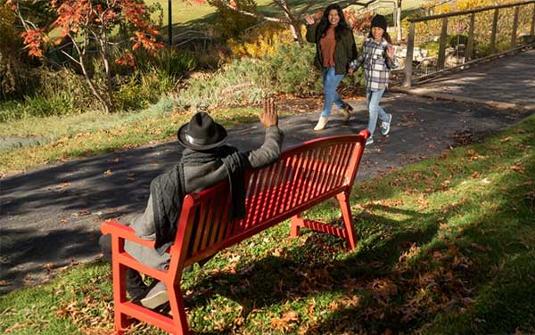 Park Bench Along Walking Path Person on a red bench beside a park path in fall foliage.