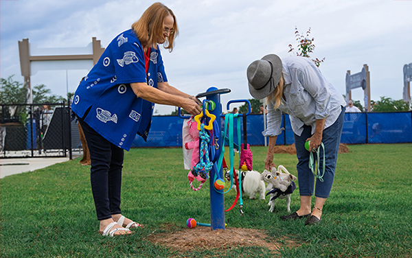 Rectangle hip shade with four posts covering a small playground