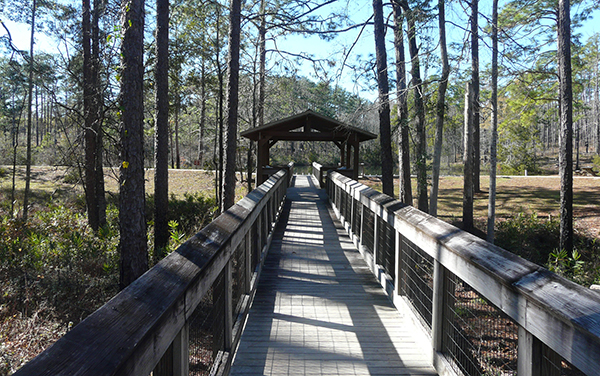 Boardwalk bridge at Falling Waters State Park in Washington County Florida