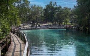 Clear spring water and boardwalk at Blue Springs near High Springs in Gilchrist County, Florida