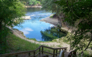 Blue spring water and wooded steps at Lafayette Blue Springs State Park in Lafayette County, Florida