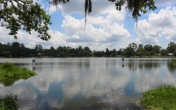 Lake Frances water view in Madison, Madison County, Florida