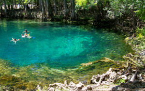 Clear spring water and swimmers at Manatee Springs State Park near Chiefland in Levy County, Florida