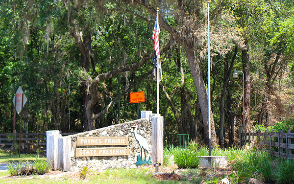 Entrance sign for Paynes Prairie State Preserve in Alachua County, Florida, representing outdoor recreation near Gainesville.
