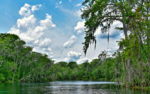 Silver Springs State Park river view in Ocala, Marion County, Florida