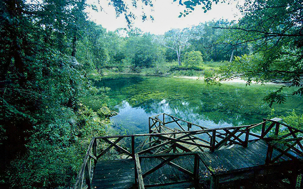 Spring basin and wooden access walkway at Troy Spring State Park in Lafayette County, Florida