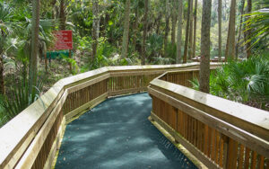 Elevated boardwalk at Blue Spring State Park near Orange City in Volusia County, Florida.