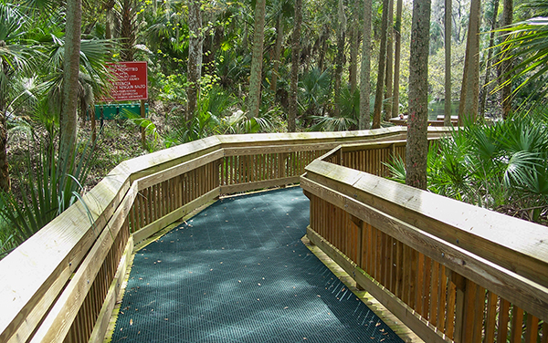 Elevated boardwalk at Blue Spring State Park near Orange City in Volusia County, Florida.