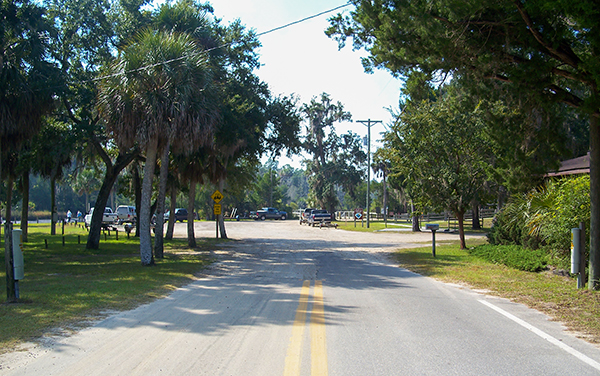 Entrance road at Econfina River State Park in Taylor County, Florida