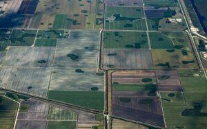 Aerial view of agricultural fields near Moore Haven in Glades County, Florida