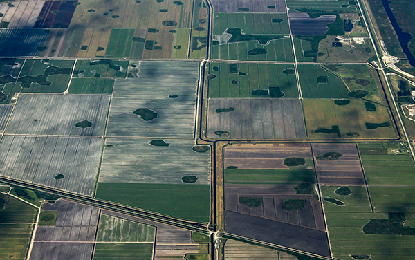Aerial view of agricultural fields near Moore Haven in Glades County, Florida