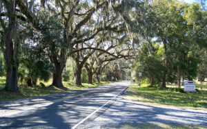 Oak-lined street in the Floral City Historic District in Citrus County, Florida.