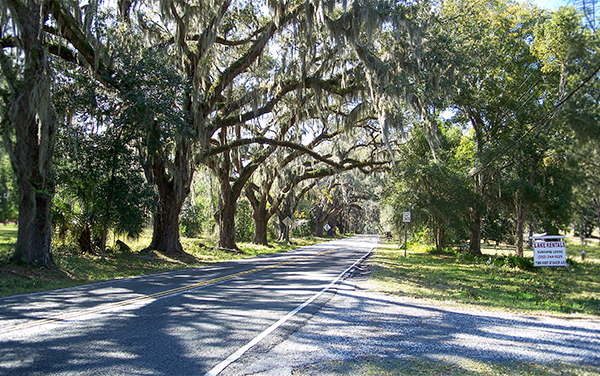 Oak-lined street in the Floral City Historic District in Citrus County, Florida.