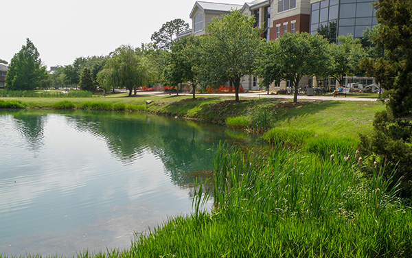 Georgia Southern University campus lake in Statesboro, Georgia, showing green space, water, and campus buildings in Bulloch County.