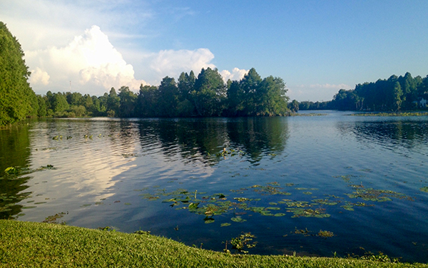 Hillsborough River at Lettuce Lake Park in Hillsborough County, Florida.