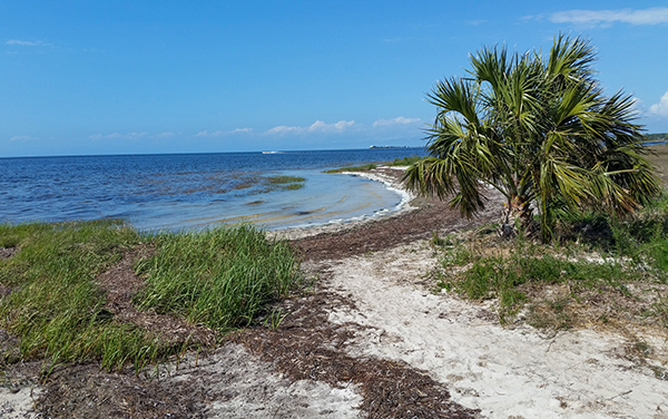 Natural Gulf Coast shoreline at Keaton Beach in Taylor County, Florida
