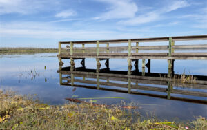 Dock on Lake Deaton in Wildwood, Sumter County, Florida.