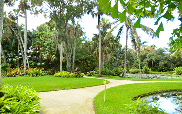 Garden path, palms, lawn, and water features at McKee Botanical Garden in Vero Beach, Florida.