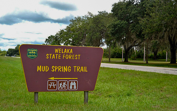 Mud Spring Trail sign at Welaka State Forest in Putnam County, Florida