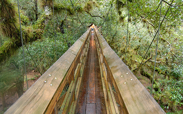 Canopy walkway at Myakka River State Park in Sarasota County, Florida