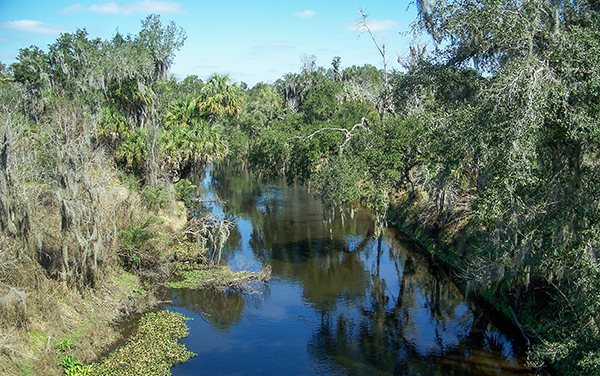 Peace River outside Paynes Creek Historic State Park in Hardee County, Florida