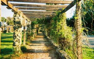 Garden walkway at Ravine Gardens State Park in Palatka, Putnam County, Florida