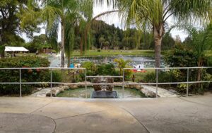 Warm Mineral Springs park setting in North Port, Sarasota County, Florida